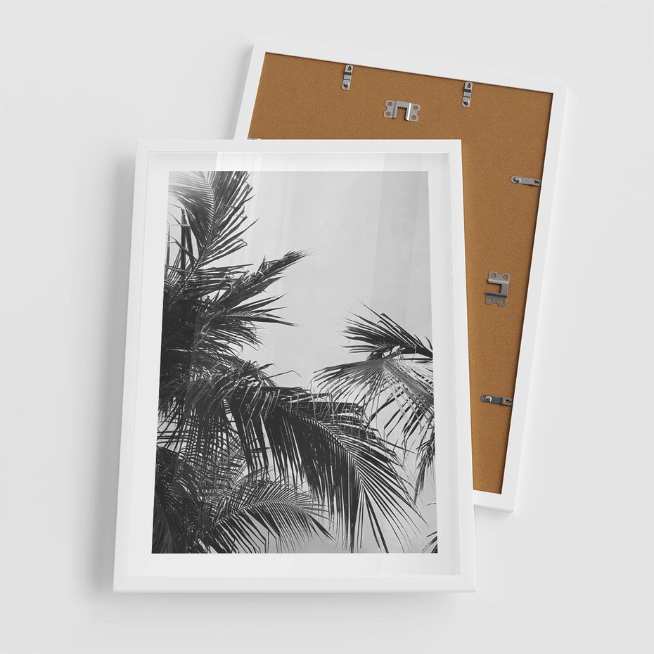 Plakat w ramie 50x70 - Palmy w Monochromii - palmy, tropikalne palmy - rama biała