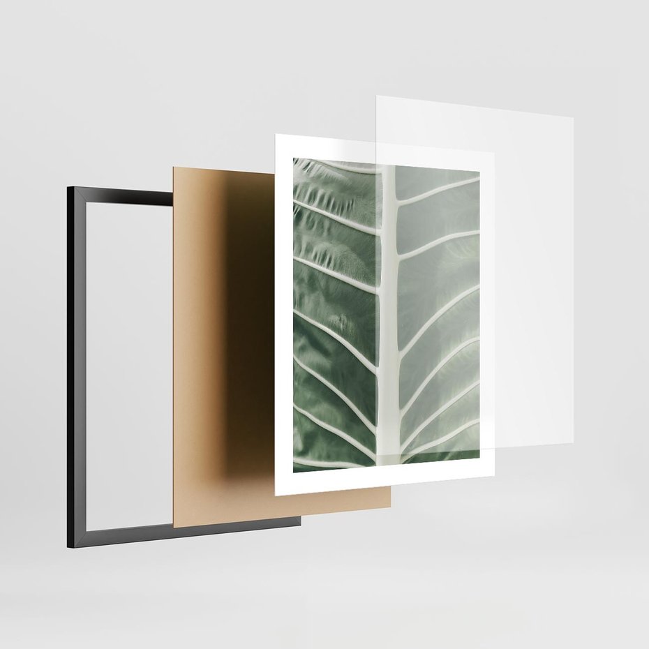 Plakat w ramie 40x50 - Zielone Wielkości: Zbliżenie Liścia - zbliżenie duz liść, jasna zieleń - rama czarna