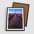 Plakat w ramie 50x70 - Fioletowa Magia - pole, lawendy - rama czarna