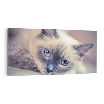 Obraz na płótnie 100x50 - Kotek w artystycznym stylu - kot, kotek