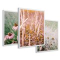 Zestaw obrazy w ramie 30x40 galeria - Kwiaty, łąka, suche, trawy - rama biała