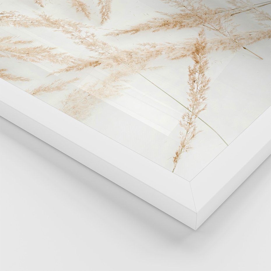 Zestaw obrazy w ramie 50x70 galeria - Boho, trawy, suche - rama biała