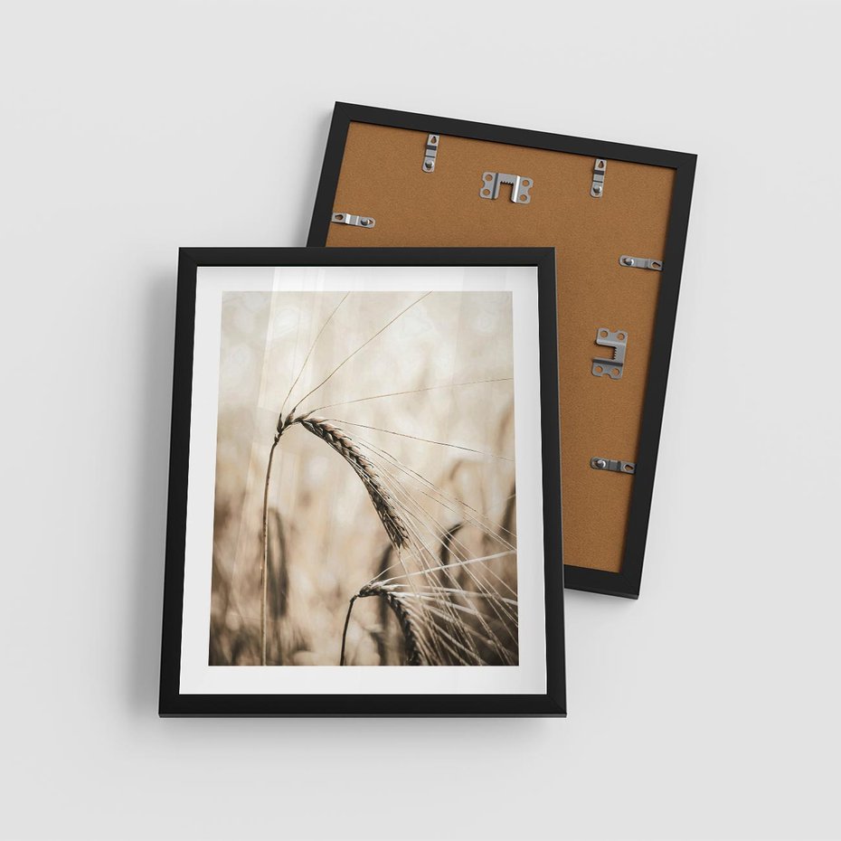 Plakat w ramie 40x50 - Źdźbło Pszenicy: Blisko Natury - źdźbło pszenicy, pszenica - rama czarna