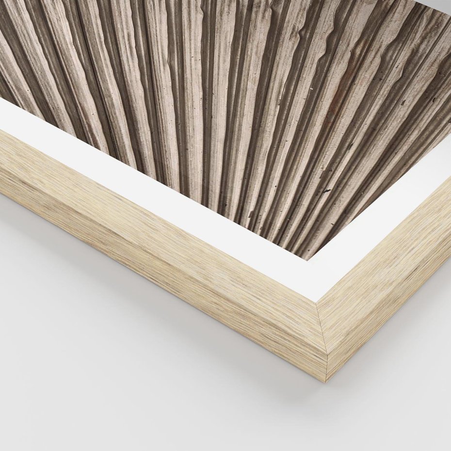 Plakat w ramie 50x70 - Liść Palmy w Wyjątkowej Kompozycji - suchy liść palmy, boho styl - rama drewno