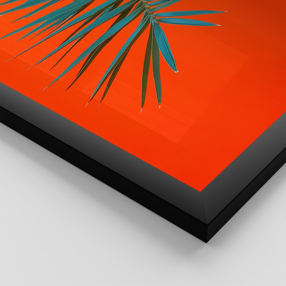 Zestaw obrazy w ramie 50x70 galeria - Liście, rośliny, aloes, neonowe - rama czarna