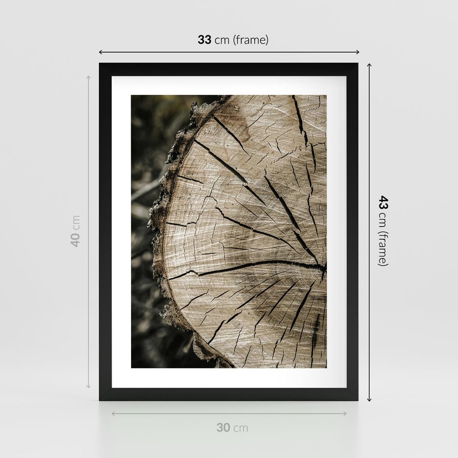 Plakat w ramie 30x40 - Wnętrze Natury - pień, przecięty pień - rama czarna