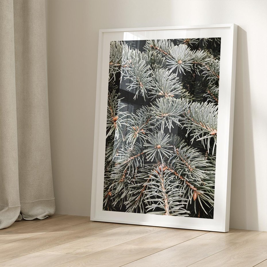 Plakat bez ramy 50x70 - Zima na Gałęziach - sosnowe gałęzie, igły