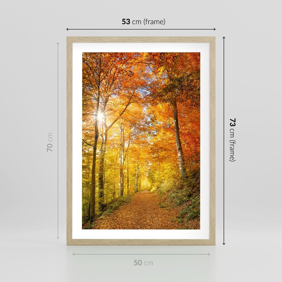 Plakat w ramie 50x70 - Złote barwy jesiennego lasu - las, jesień - rama drewno