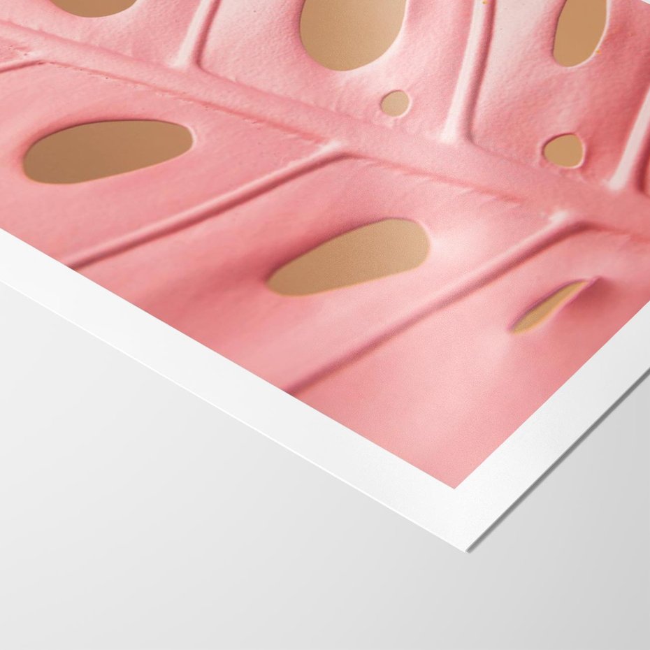 Plakat bez ramy 50x70 - Różowy Liść Monstery - różowy liść monstery, nowoczesna fotografia