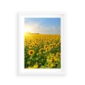Plakat w ramie 30x40 - Idylla na łące słoneczników - łąka, słoneczniki - rama biała