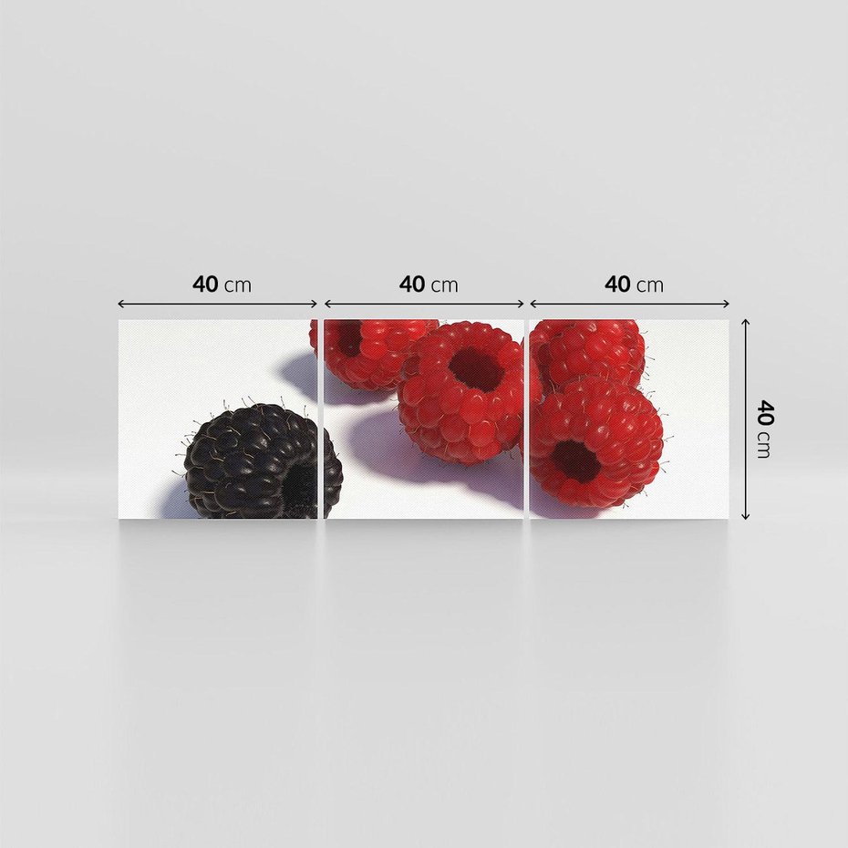 Obraz na płótnie 120x40 - Maliny Jeżyny Owoce - maliny, jeżyny