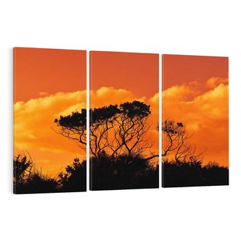 Obraz na płótnie 120x80 - Magiczne Drzewa na Tle Rozległej Sawanny - drzewa, sawanna