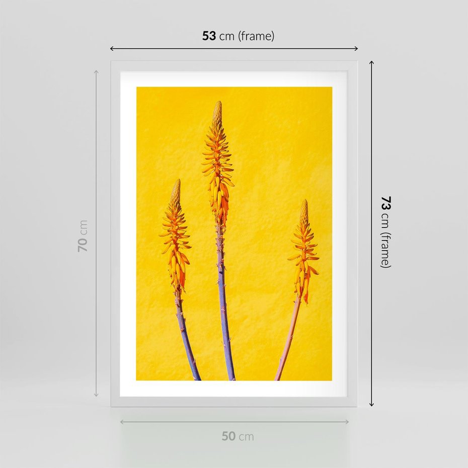 Plakat w ramie 50x70 - Radość Natury - kolor, kwiaty - rama biała