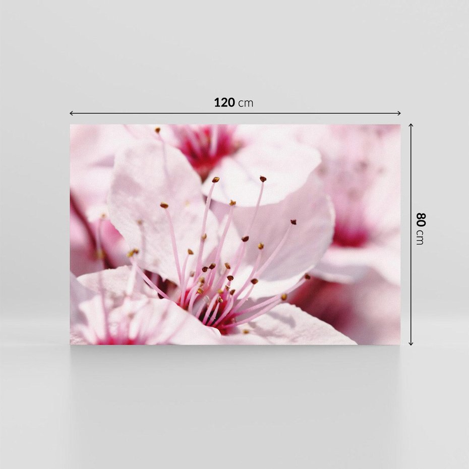 Obraz na płótnie 120x80 - Kwitnąca Wiśnia - kwiaty, kwitnąca