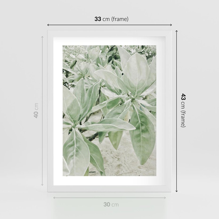 Plakat w ramie 30x40 - Jasnozielone Liście w Kompozycji - liście, jasna zieleń - rama biała