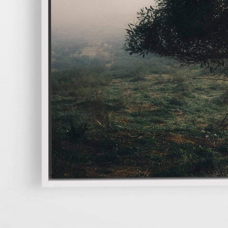 Obraz w ramie 120x80 - Zamglona Prostota - artystyczna fotografia, samotne drzewo na zamglonej łące - rama biała