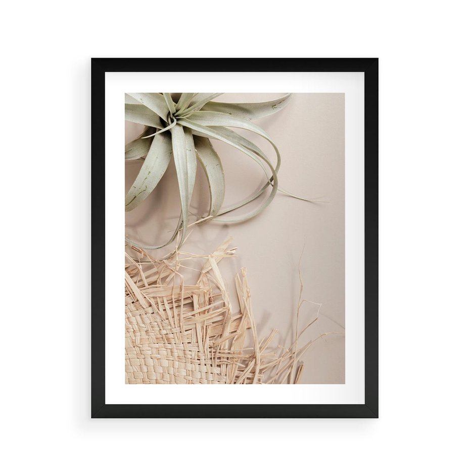 Plakat w ramie 40x50 - Aloes w Stylu Boho - kompozycja, wiklina - rama czarna