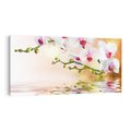 Obraz na płótnie 120x60 - Elegancja orchidei - orchidea, kwiaty