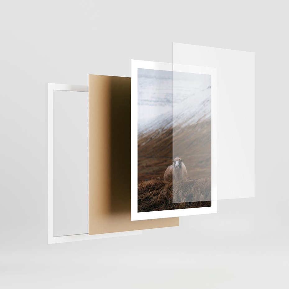 Plakat w ramie 50x70 - Owiecka panorama - góry, owca - rama biała