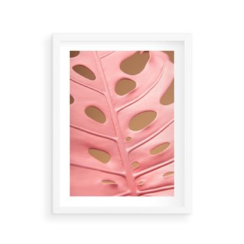 Plakat w ramie 40x50 - Różowa monstera w pełnym rozkwicie - różowa, monstera - rama biała