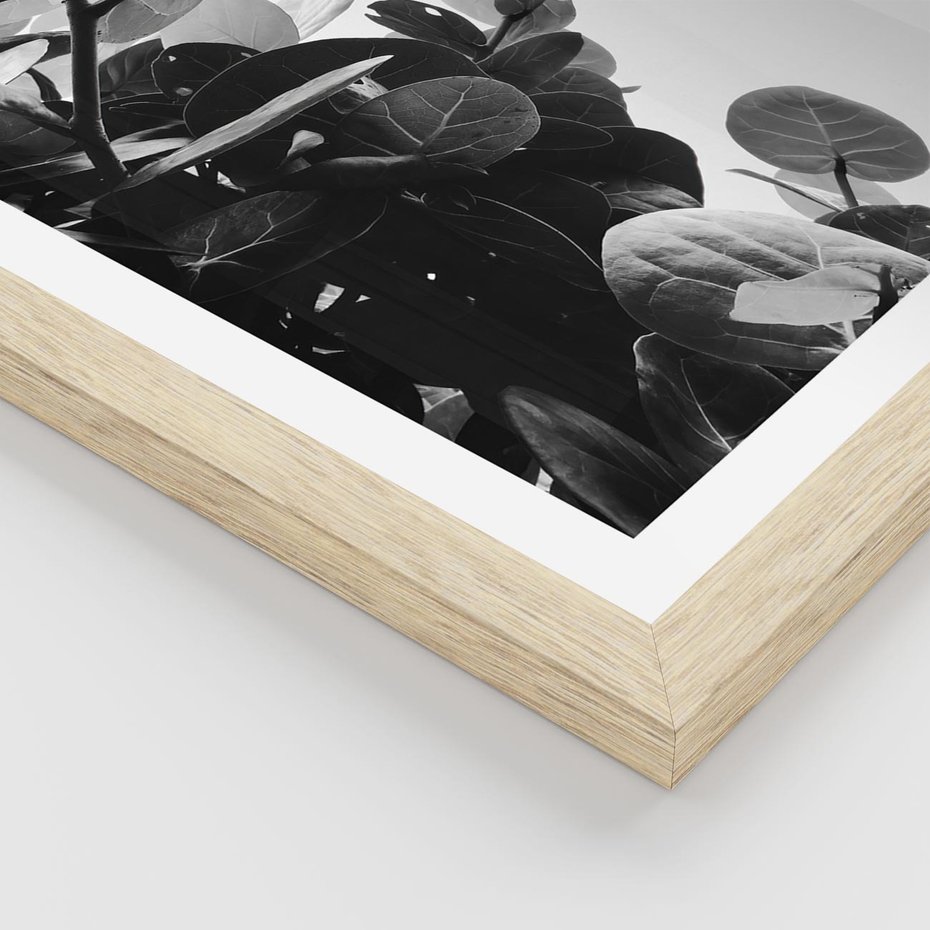 Plakat w ramie 50x70 - Blisko Natury - liście, rośliny tropikalne - rama drewno