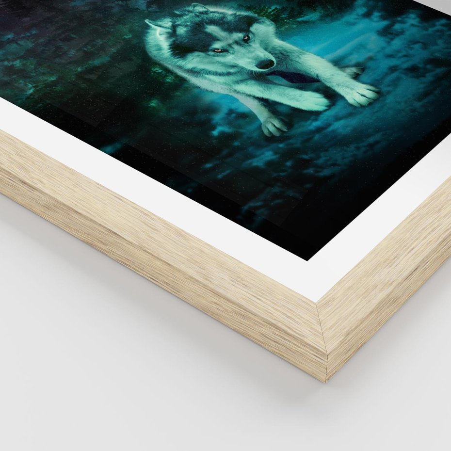 Plakat w ramie 30x40 - Siła i wdzięk natury - wilk, husky - rama drewno