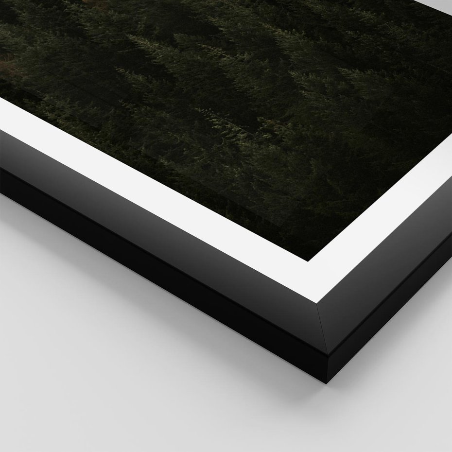 Plakat w ramie 50x70 - Ciemny las iglasty - las, iglasty - rama czarna