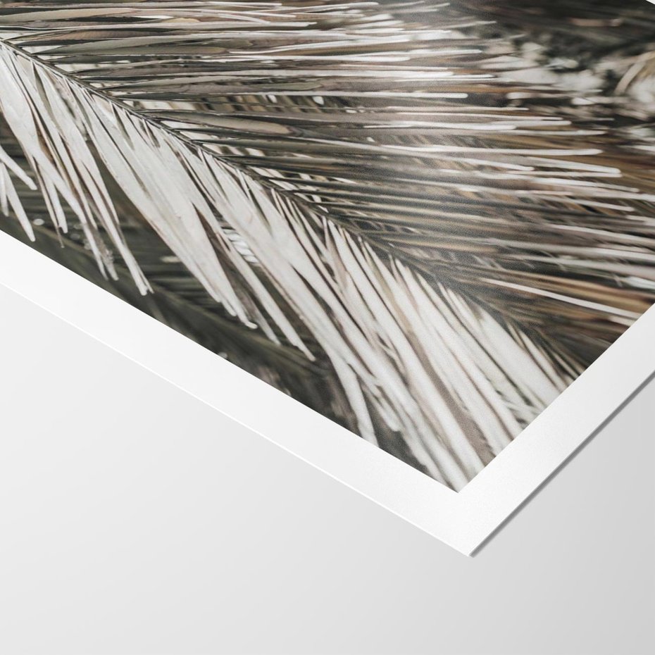 Plakat bez ramy 30x40 - Egzotyczne Gałęzie - suche gałęzie, liście palmy