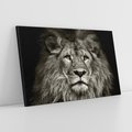 Obraz na płótnie 120x80 - Moc lewego spojrzenia - lew, czarno