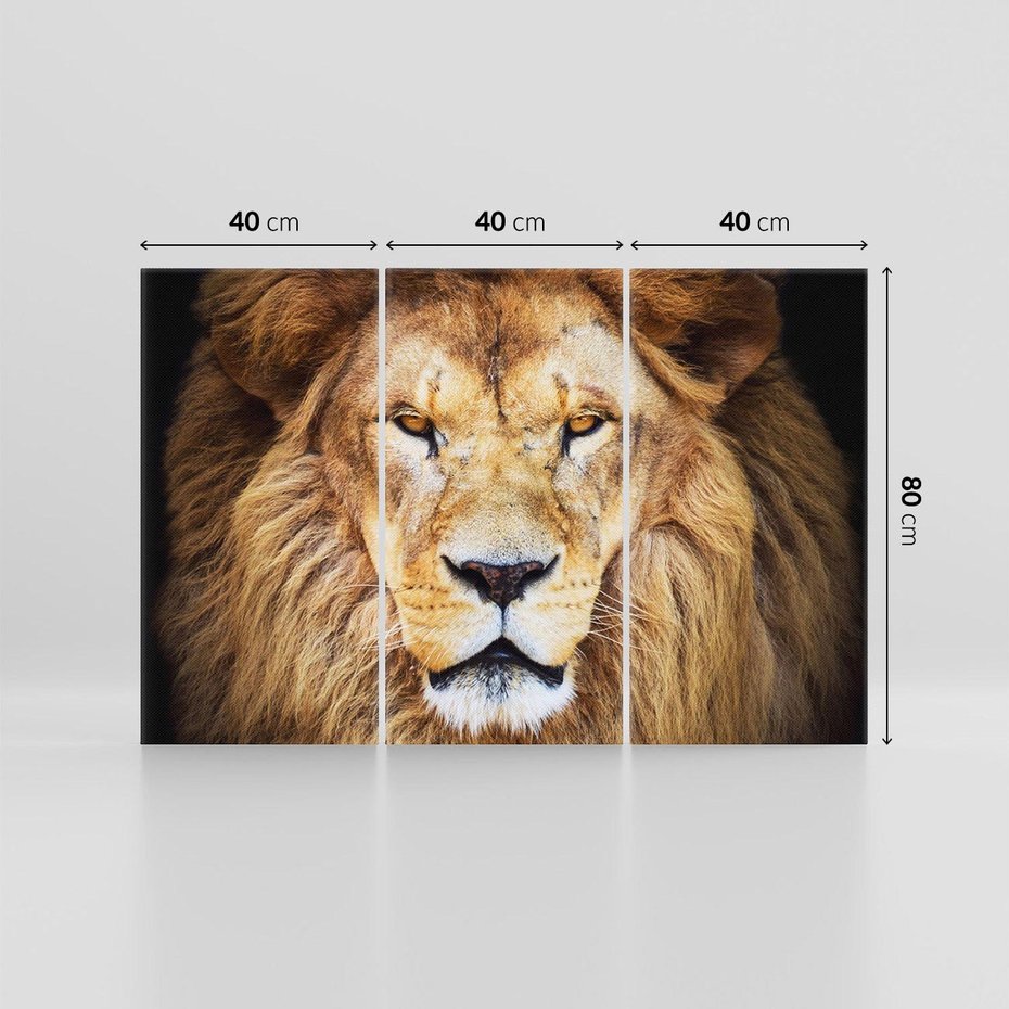 Obraz na płótnie 120x80 - Król zwierząt w majestatycznym stylu - lew, król