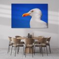 Obraz na płótnie 70x50 - Mewa nad morzem - mewa, pstak