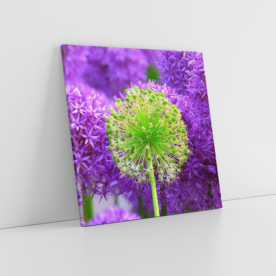 Obraz na płótnie 80x80 - Kwiatowy Raj - kwiat, kwiaty