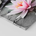 Obraz na płótnie 50x50 - Liliowy kwiat - lilia, kwiat