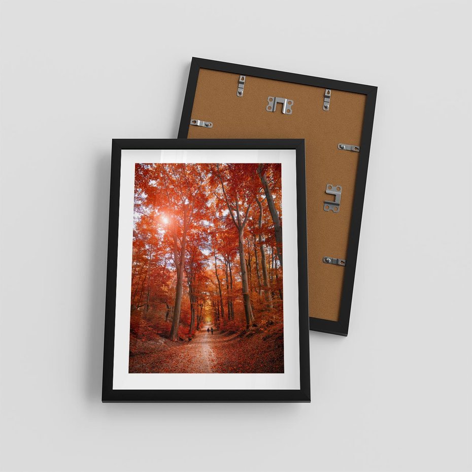 Plakat w ramie 30x40 - Magia jesiennego lasu - las, jesień - rama czarna