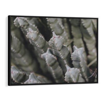 Obraz w ramie 70x50 - Boho kaktusy na pustyni - kaktusy, pustynia - rama czarna