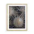 Plakat w ramie 50x70 - Ulotna Piękność Natury - makro, dmuchawce - rama drewno