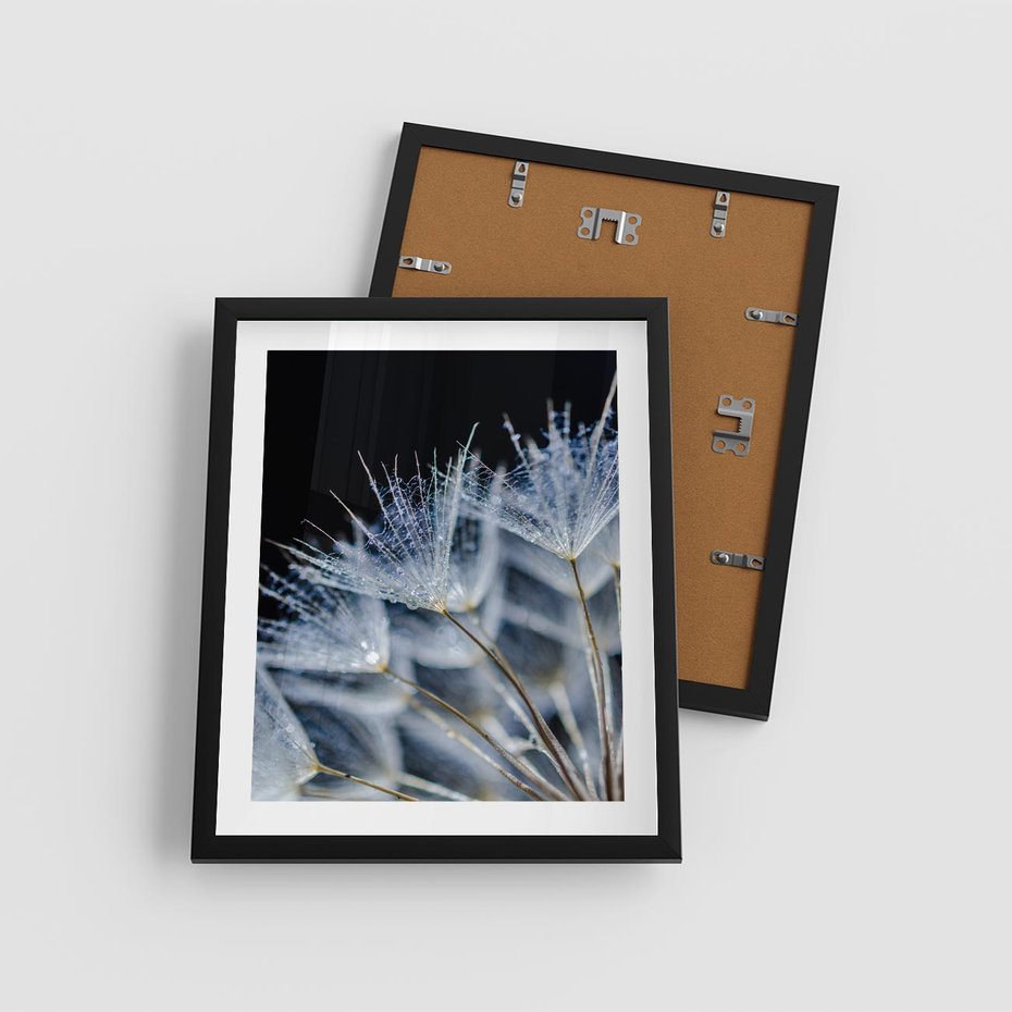 Plakat w ramie 40x50 - Makro piękno dmuchawców - makro, dmuchawce - rama czarna