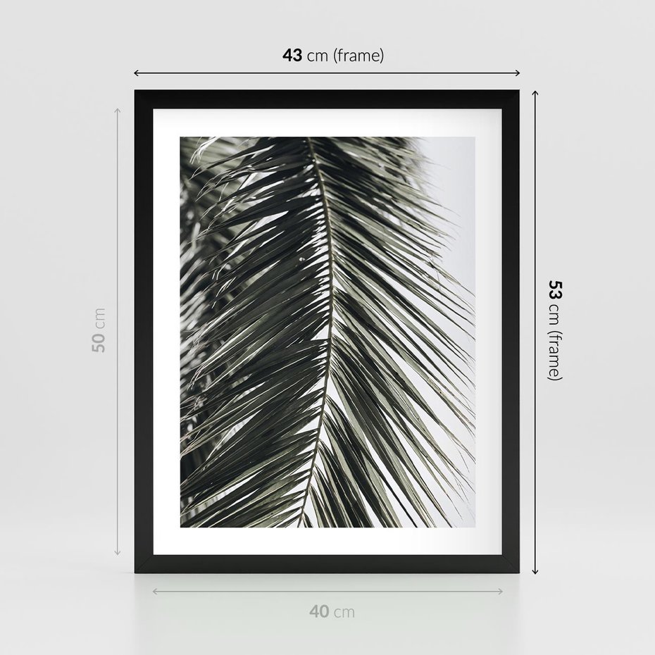 Plakat w ramie 40x50 - Liść Palmy: Egzotyczny Detal Natury - palma, liść palmy - rama czarna