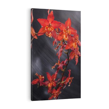 Obraz na płótnie 70x100 - Kolorowy Raj - kwiaty, tropikalne