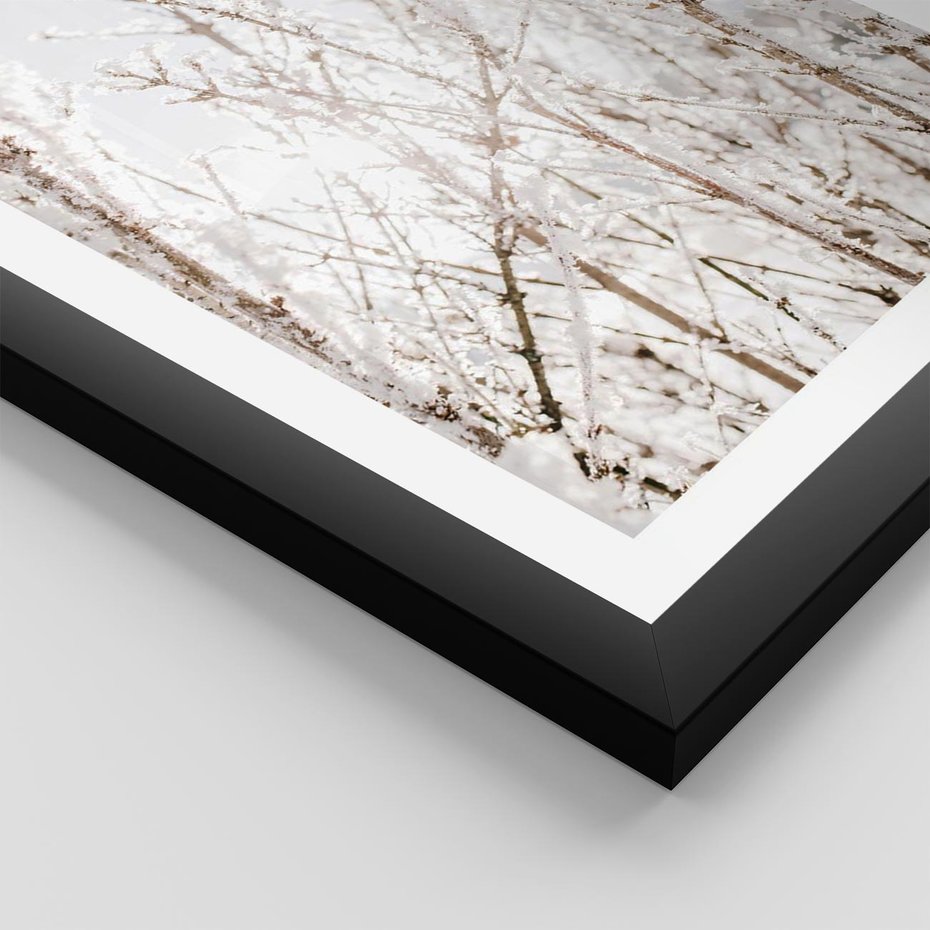 Plakat w ramie 50x70 - Szron na Gałęziach - ośnieżone gałązki, szron na gałęziach - rama czarna