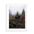 Plakat w ramie 50x70 - Górski las - stary zniszczony domek w górach, góry - rama biała