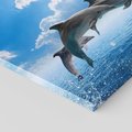 Obraz na płótnie 80x80 - Spotkanie z naturą - morze, delfiny