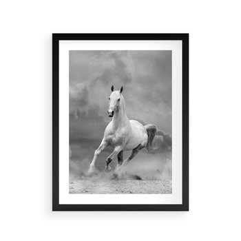 Plakat w ramie 30x40 - Elegancja w Czarno-Białym - koń, biało - rama czarna