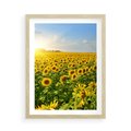 Plakat w ramie 50x70 - Idylla na łące słoneczników - łąka, słoneczniki - rama drewno