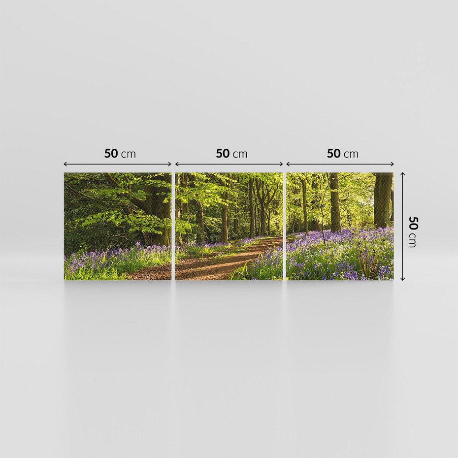 Obraz na płótnie 150x50 - Magia lasu: Drzewa w tajemniczej otoczce - las, drzewa