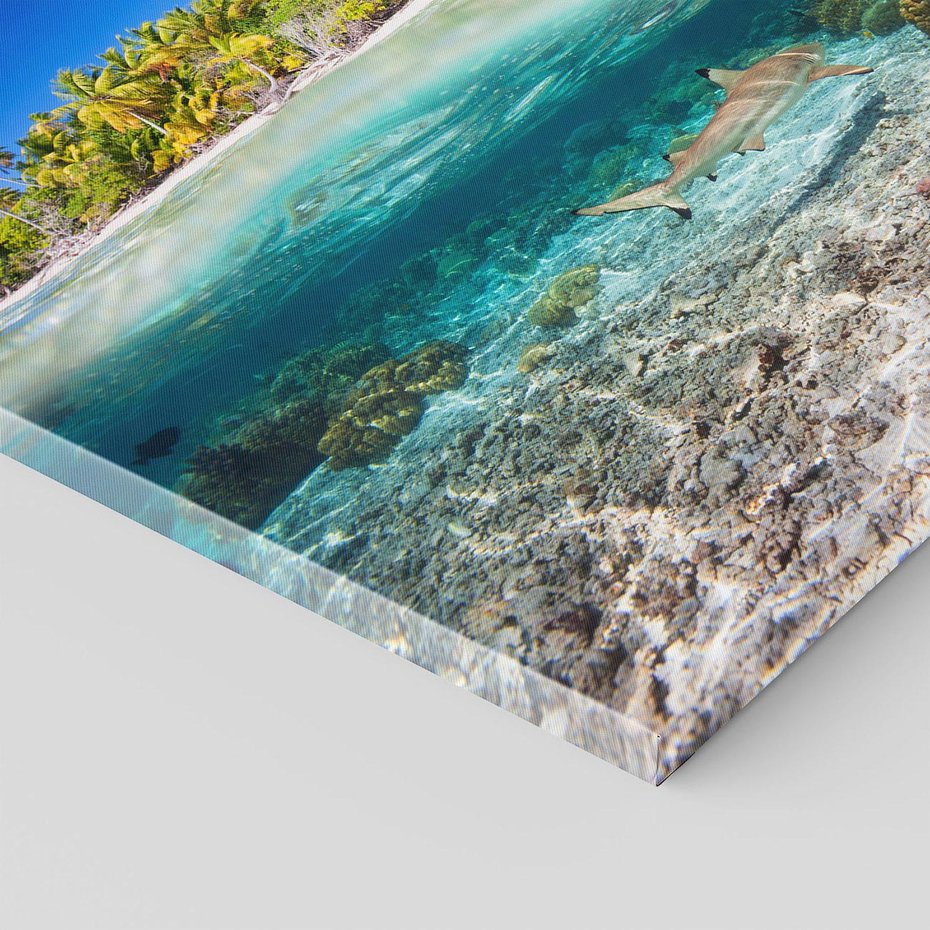 Obraz na płótnie 80x80 - Tropikalne Morze i Kolorowa Rafa - tropikalne, morze