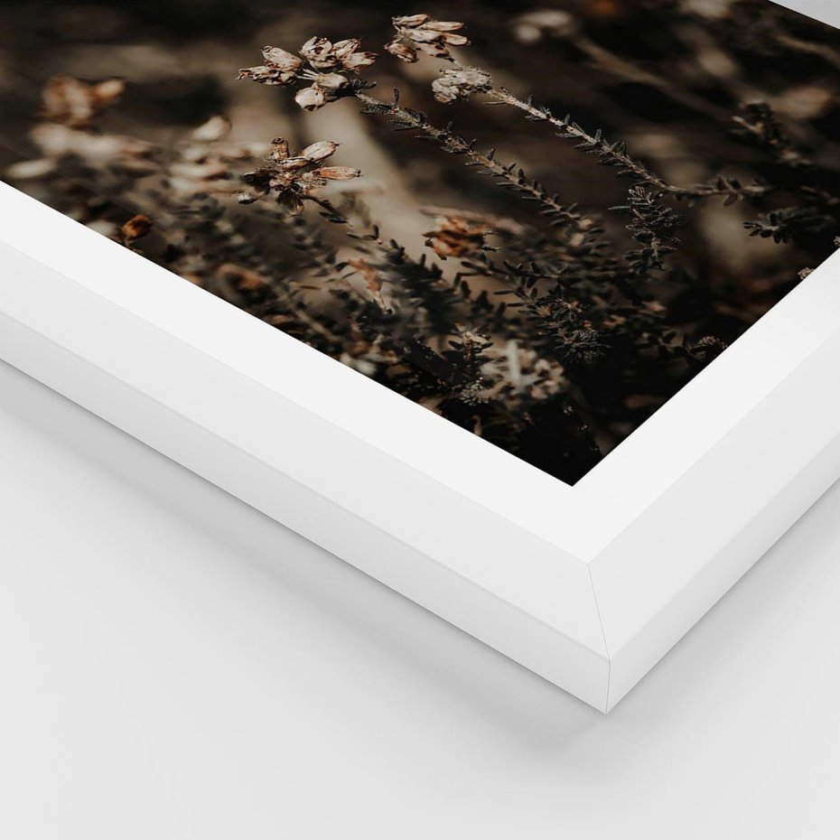 Plakat w ramie 50x70 - Jesienny Urok - suche trawy, jesienny pejzaż - rama biała