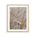 Plakat w ramie 40x50 - Beżowa Trawa - suche trawy, zbliżenie - rama drewno