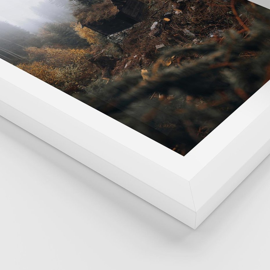 Plakat w ramie 40x50 - Górski las - stary zniszczony domek w górach, góry - rama biała
