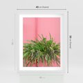 Plakat w ramie 40x50 - Fotografia Rośliny z Różowym Tłem - fotografia, zielona roślina na tle różwj ściany - rama biała